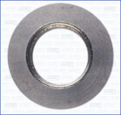 DICHTRING DüSENHALTER