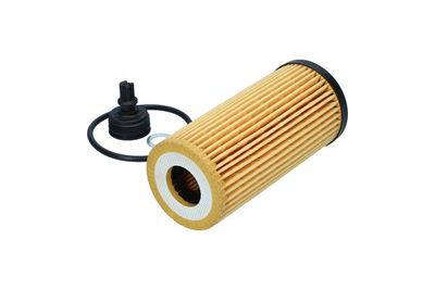 Oil Filter F122101