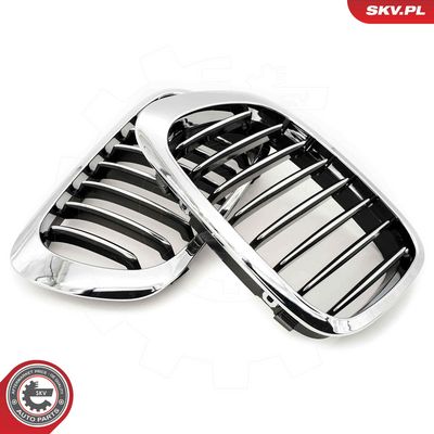 GRILA RADIATOR ESEN SKV 66SKV057 1