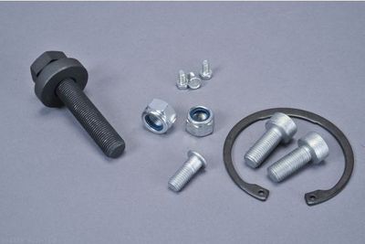 SET RULMENT ROATA AUTOMEGA 110084310 1