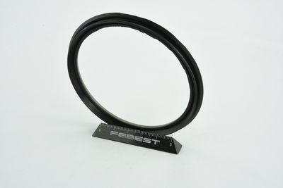 INEL DE ETANSARE BUTUC ROATA FEBEST 95BCY88750407X 5