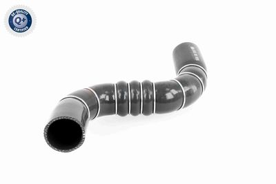 FURTUN EAR SUPRAALIMENTARE ACKOJA A389602 4