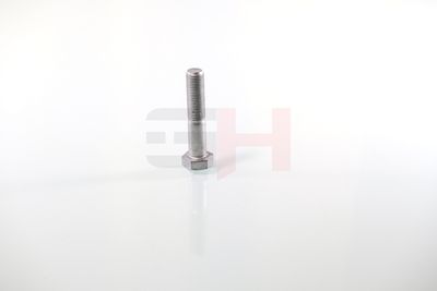 SURUB CAPAT DE AX GH GH392360 12