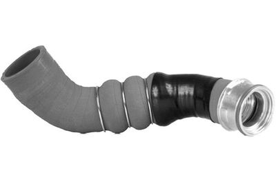 FURTUN EAR SUPRAALIMENTARE