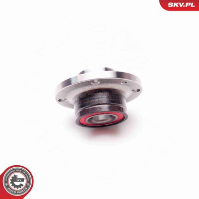 SET RULMENT ROATA ESEN SKV 29SKV038 2