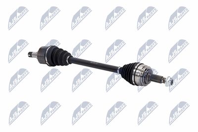 PLANETARA NTY NPWCT146 10