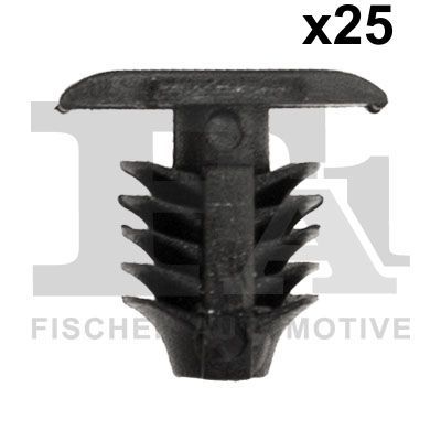 Clip, trim/protection strip