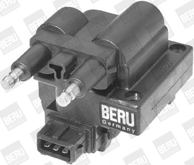 BOBINA DE INDUCTIE BorgWarner (BERU) ZS254 3