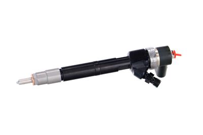 INJECTOR REMANTE 002003001100R 8