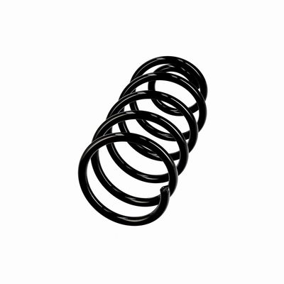 ARC SPIRAL EIBACH R10814 2