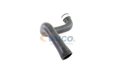 FURTUN EAR SUPRAALIMENTARE VAICO V401358 48
