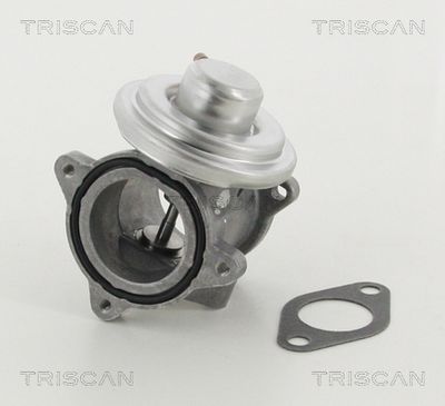 Supapa EGR TRISCAN 8813 29011