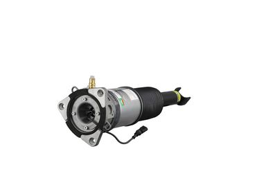 LUFTFEDERBEIN Arnott AS2958 48