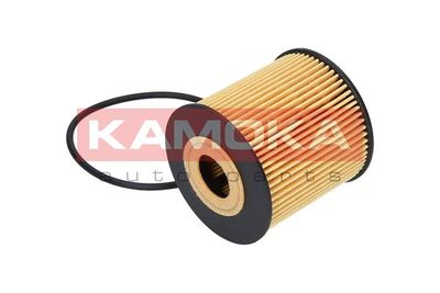 Oil Filter F107801