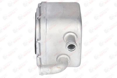 RADIATOR ULEI ULEI MOTOR BIRTH 80045 10