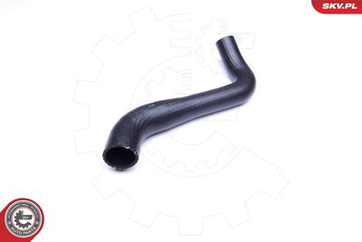 FURTUN EAR SUPRAALIMENTARE