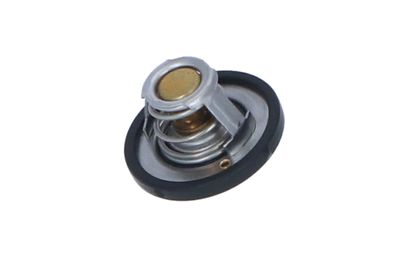 TERMOSTAT LICHID RACIRE NRF 725187 3