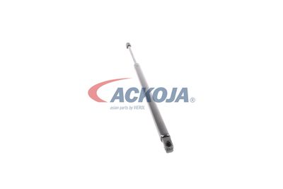 AMORTIZOR PORTBAGAJ ACKOJA A260098 48