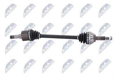 PLANETARA NTY NPWFR033 8