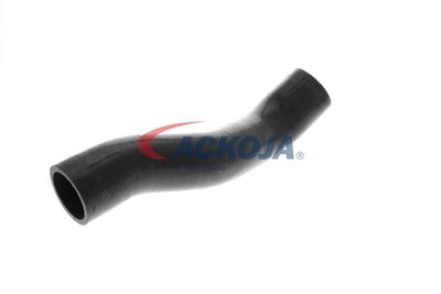 FURTUN EAR SUPRAALIMENTARE ACKOJA A389605 53