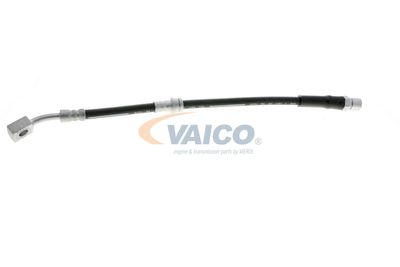 FURTUN FRANA VAICO V404110 62
