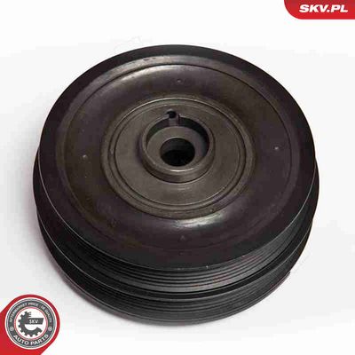 FULIE CUREA ARBORE COTIT ESEN SKV 95SKV303