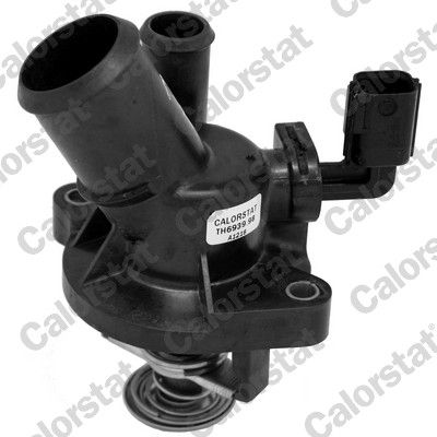 Thermostat, coolant TE6939.98J