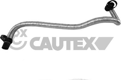 Шланг, вентиляция картера CAUTEX 757366 для BMW 2