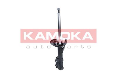 Shock Absorber 2000488