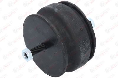 SUPORT MOTOR BIRTH 5527 9