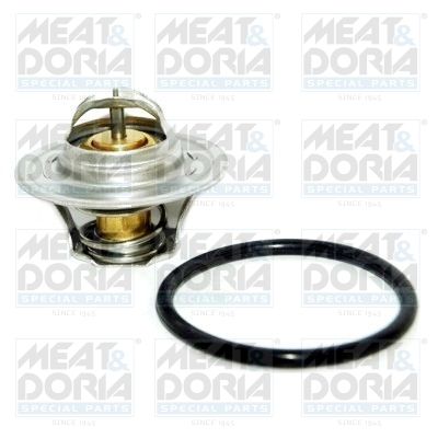 Thermostat, coolant 92185