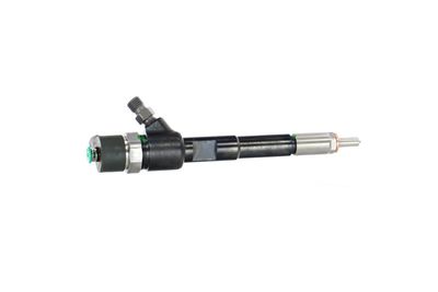 INJECTOR REMANTE 002003002244R 39