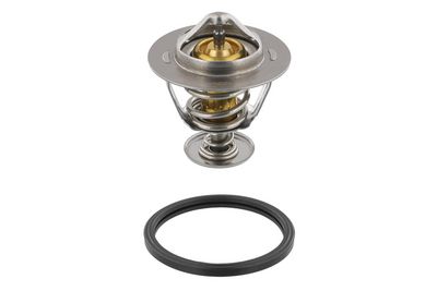 TERMOSTAT LICHID RACIRE