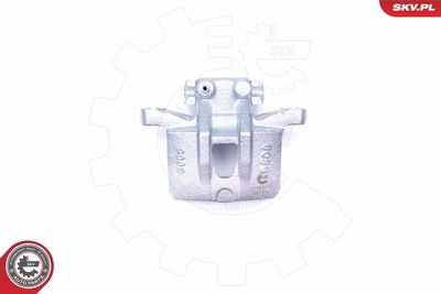 Brake Caliper 42SKV583