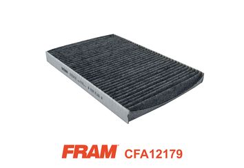 FRAM CFA12179