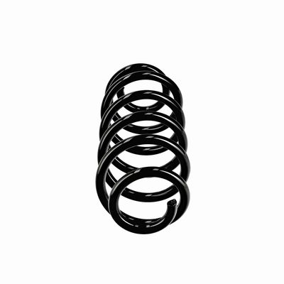 ARC SPIRAL EIBACH R10811 1