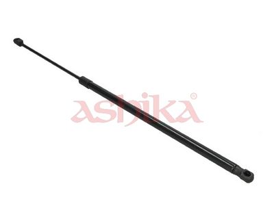ZSA09048
