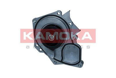 Water Pump, engine cooling T0289