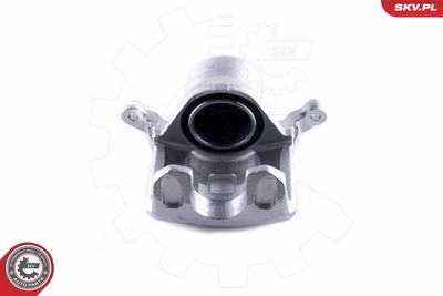 Brake Caliper 55SKV061