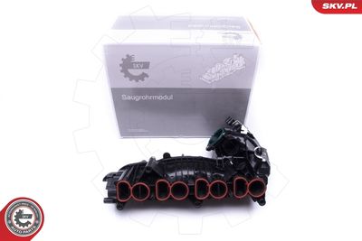 Intake Manifold Module 49SKV018