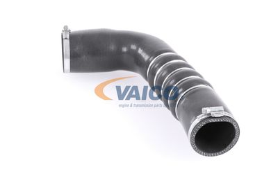 FURTUN EAR SUPRAALIMENTARE VAICO V103794 21