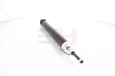 AMORTIZOR GH GH333456 1