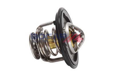 TERMOSTAT LICHID RACIRE BOGAP N4245106 1