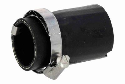 FURTUN EAR SUPRAALIMENTARE