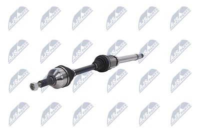 PLANETARA NTY NPWFR076 19