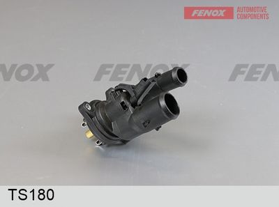 термостат, охладителна течност FENOX TS180