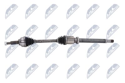 PLANETARA NTY NPWFR074 23