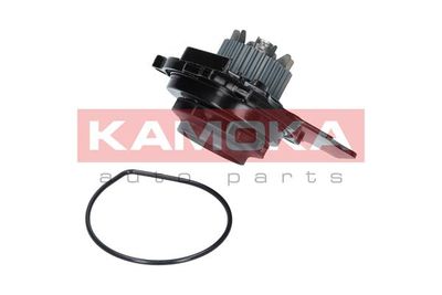 POMPă DE APă RăCIRE MOTOR KAMOKA T0031 1