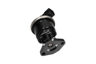 SUPAPA EGR Kavo Parts EEG2006 21