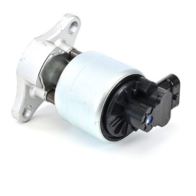 SUPAPA EGR DELPHI EG1000712B1 16